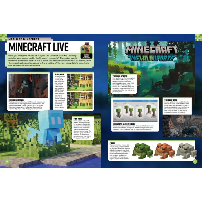 Minecraft Annual 2023: KAVNLON: 9780008495985: : Books