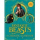 Fantastic Beasts: A Cinematic Yearbook