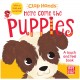 Here Come the Puppies: A touch-and-feel board book with a fold-out surprise (Clap Hands) 