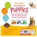 Here Come the Puppies: A touch-and-feel board book with a fold-out surprise (Clap Hands) 