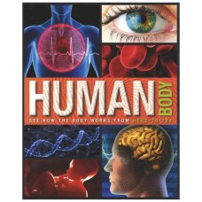 Discovery Human Body Family Reference Guide