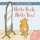 Winnie-the-Pooh: Hello Pooh Hello You: Mirror Book (Boardbook)
